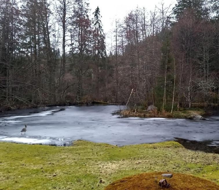 Gaeststuga I Vacker Natur, Bastu, Bubbelpool Sommartid Och Gratis Parkering Naera Ulricehamn Och Lassalyckan, Guesthouse With Nice View With Sauna And Free Parking Close To Dalsjoefors And Fishing بوراس المظهر الخارجي الصورة